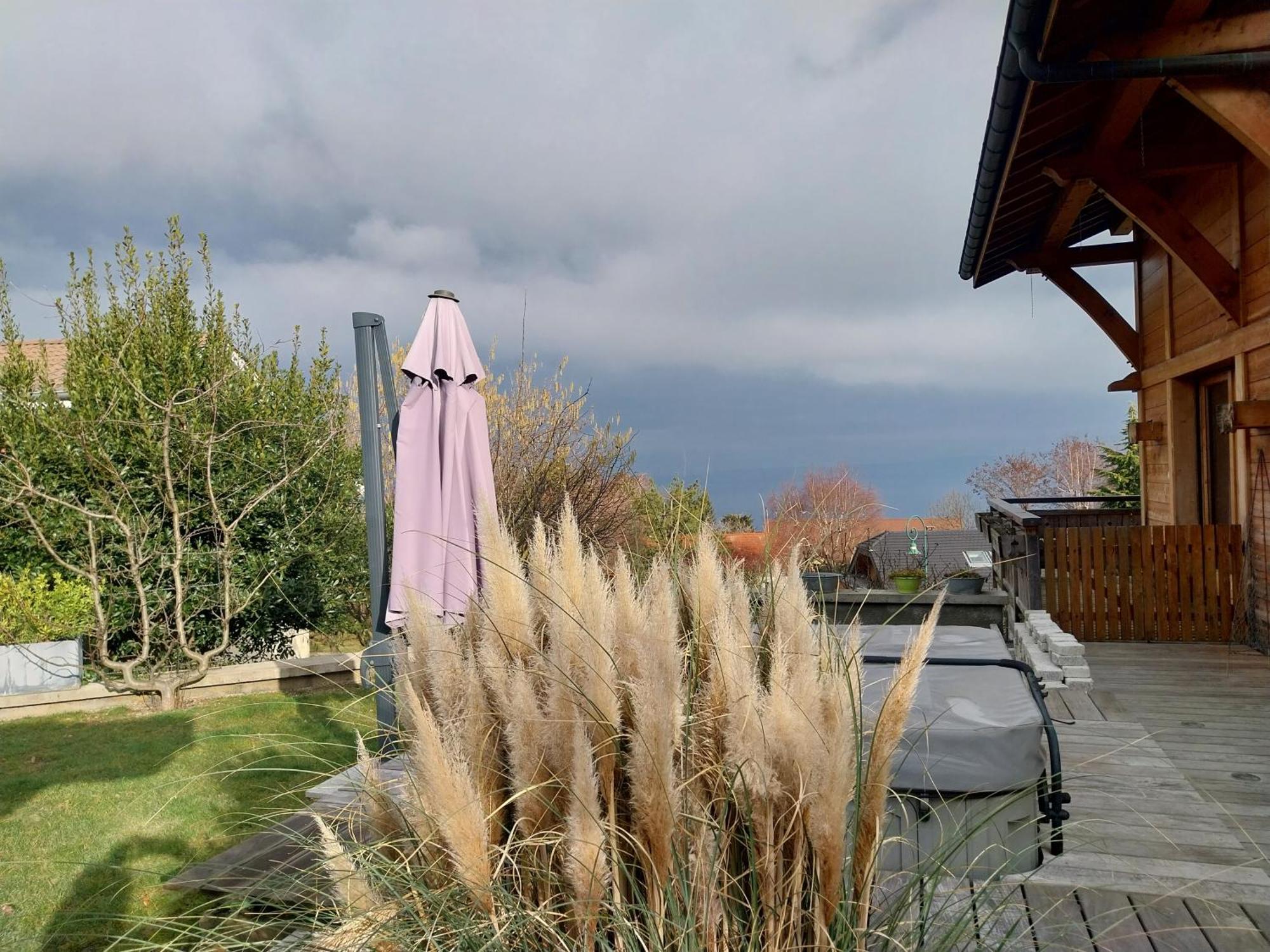 Le Chalet Des 3 Ours Neuvecelle Bagian luar foto