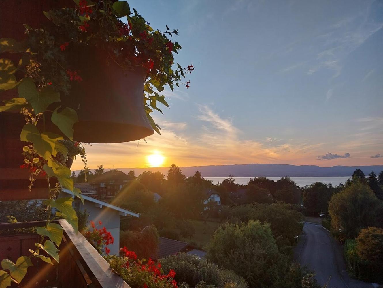 Le Chalet Des 3 Ours Neuvecelle Bagian luar foto
